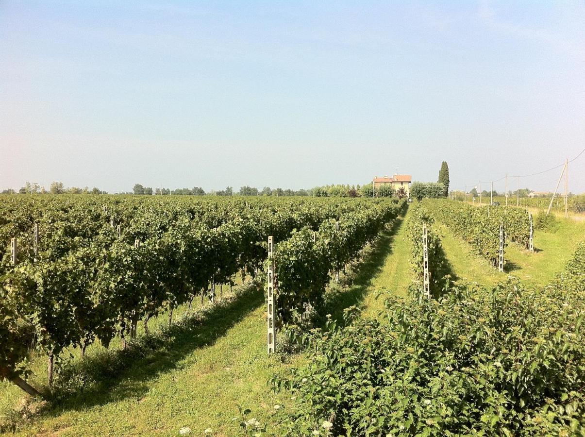 Cascina Tabachera X10 Country House Sirmione Garda Lake Pozzolengo Camera foto